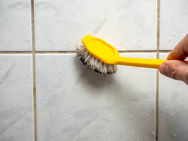 Best Mold Removal Company Near Me  in Quail Ridge, FL
