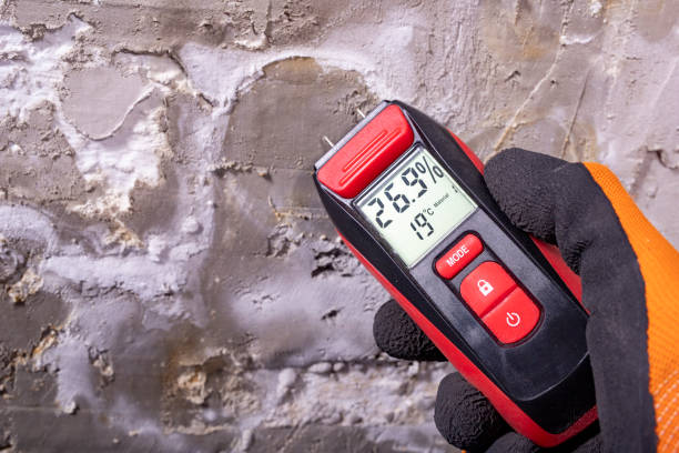 Best Crawl Space Mold Removal  in Quail Ridge, FL