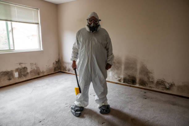 Best Toxic Mold Removal  in Quail Ridge, FL